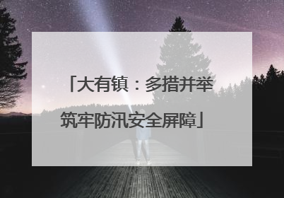 大有镇：多措并举筑牢防汛安全屏障
