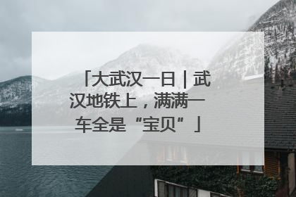 大武汉一日｜武汉地铁上，满满一车全是“宝贝”