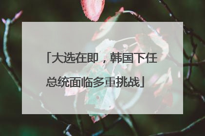 大选在即，韩国下任总统面临多重挑战