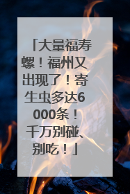 大量福寿螺！福州又出现了！寄生虫多达6000条！千万别碰、别吃！