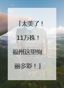 太美了！11万株！福州这里绚丽多彩！