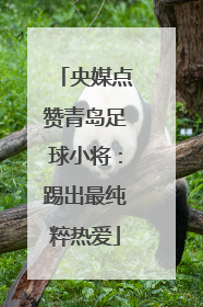 央媒点赞青岛足球小将：踢出最纯粹热爱
