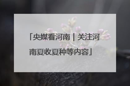 央媒看河南｜关注河南夏收夏种等内容