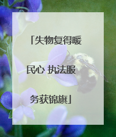 失物复得暖民心 执法服务获锦旗