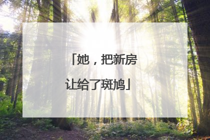 她，把新房让给了斑鸠