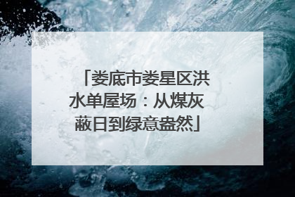 娄底市娄星区洪水单屋场：从煤灰蔽日到绿意盎然