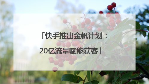 快手推出金帆计划：20亿流量赋能获客