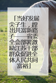 当好发展尖子生，蹚出共富新路子——省委全会部署激励江苏干部群众促进全体人民共同富裕
