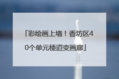 彩绘画上墙！香坊区40个单元楼道变画廊