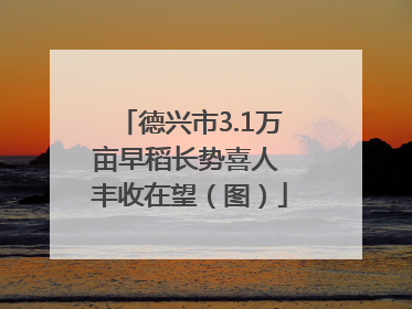 德兴市3.1万亩早稻长势喜人 丰收在望（图）