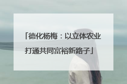 德化杨梅：以立体农业打通共同富裕新路子