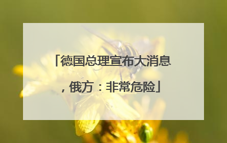 德国总理宣布大消息，俄方：非常危险