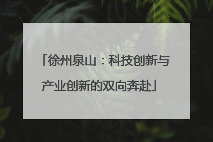 徐州泉山：科技创新与产业创新的双向奔赴