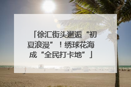 徐汇街头邂逅“初夏浪漫”！绣球花海成“全民打卡地”