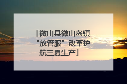 微山县微山岛镇“放管服”改革护航三夏生产