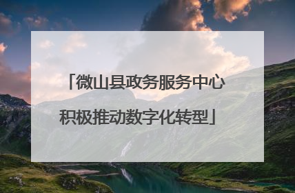 微山县政务服务中心积极推动数字化转型