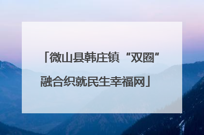 微山县韩庄镇“双圈”融合织就民生幸福网