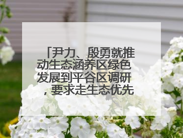 尹力、殷勇就推动生态涵养区绿色发展到平谷区调研，要求走生态优先、绿色低碳的高质量发展之路