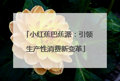 小红蕉巴蕉派：引领生产性消费新变革
