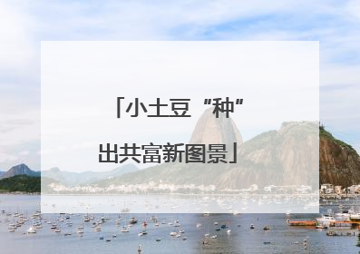 小土豆“种”出共富新图景