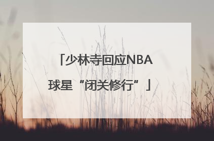 少林寺回应NBA球星“闭关修行”