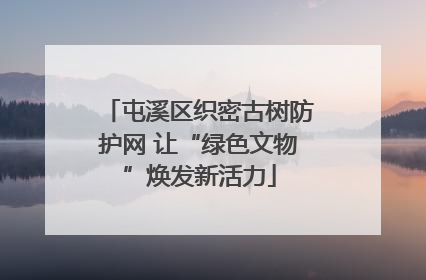 屯溪区织密古树防护网 让“绿色文物”焕发新活力