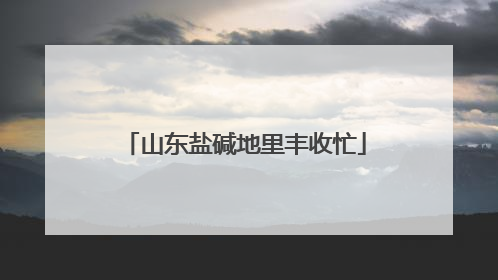 山东盐碱地里丰收忙