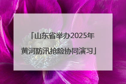 山东省举办2025年黄河防汛抢险协同演习