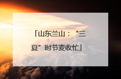 山东兰山：“三夏”时节麦收忙