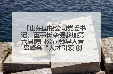 山东国投公司党委书记、董事长栾健参加第六届跨国公司领导人青岛峰会“人才引领 创新驱动”人力资源高质量发展对话会