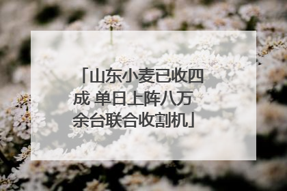 山东小麦已收四成 单日上阵八万余台联合收割机