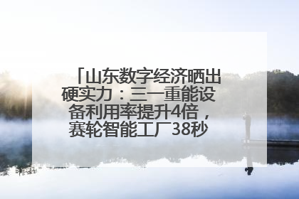 山东数字经济晒出硬实力：三一重能设备利用率提升4倍，赛轮智能工厂38秒生产一条轮胎