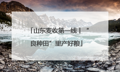 山东麦收第一线丨“良种田”里产好粮