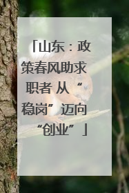 山东：政策春风助求职者 从“稳岗”迈向“创业”