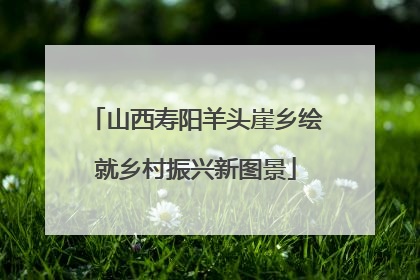 山西寿阳羊头崖乡绘就乡村振兴新图景