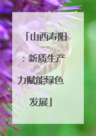 山西寿阳：新质生产力赋能绿色发展