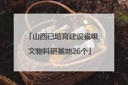 山西已培育建设省级文物科研基地26个