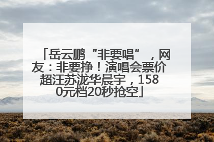 岳云鹏“非要唱”，网友：非要挣！演唱会票价超汪苏泷华晨宇，1580元档20秒抢空