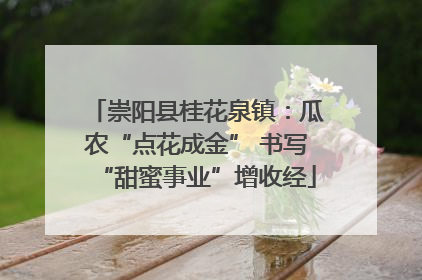 崇阳县桂花泉镇：瓜农“点花成金” 书写“甜蜜事业”增收经