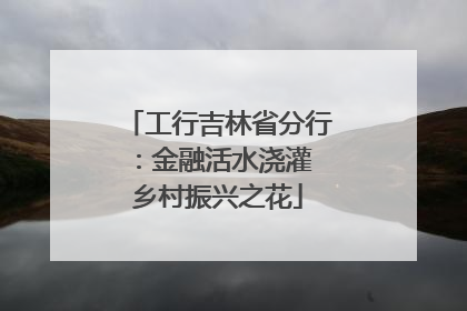 工行吉林省分行：金融活水浇灌 乡村振兴之花