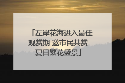 左岸花海进入最佳观赏期 邀市民共赏夏日繁花盛景