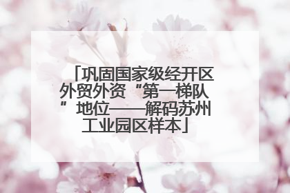 巩固国家级经开区外贸外资“第一梯队”地位——解码苏州工业园区样本