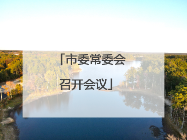 市委常委会召开会议
