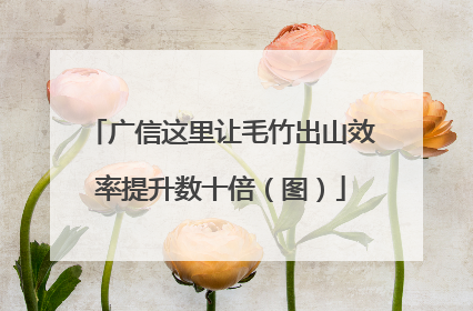 广信这里让毛竹出山效率提升数十倍（图）