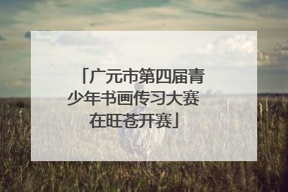 广元市第四届青少年书画传习大赛在旺苍开赛