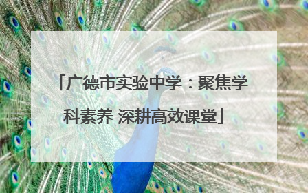 广德市实验中学：聚焦学科素养 深耕高效课堂