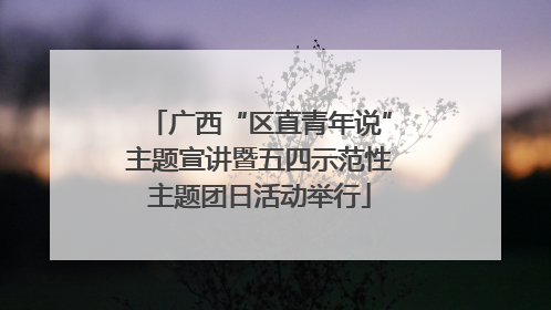 广西“区直青年说”主题宣讲暨五四示范性主题团日活动举行