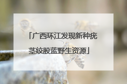 广西环江发现新种疣茎绞股蓝野生资源