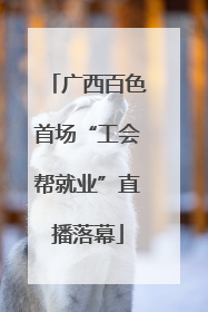 广西百色首场“工会帮就业”直播落幕