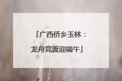 广西侨乡玉林：龙舟竞渡迎端午